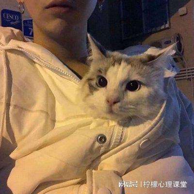 雷霆传奇h5公益服下载