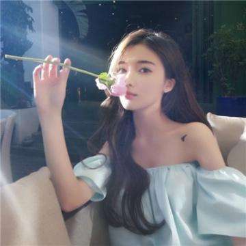 文明火种中文版下载